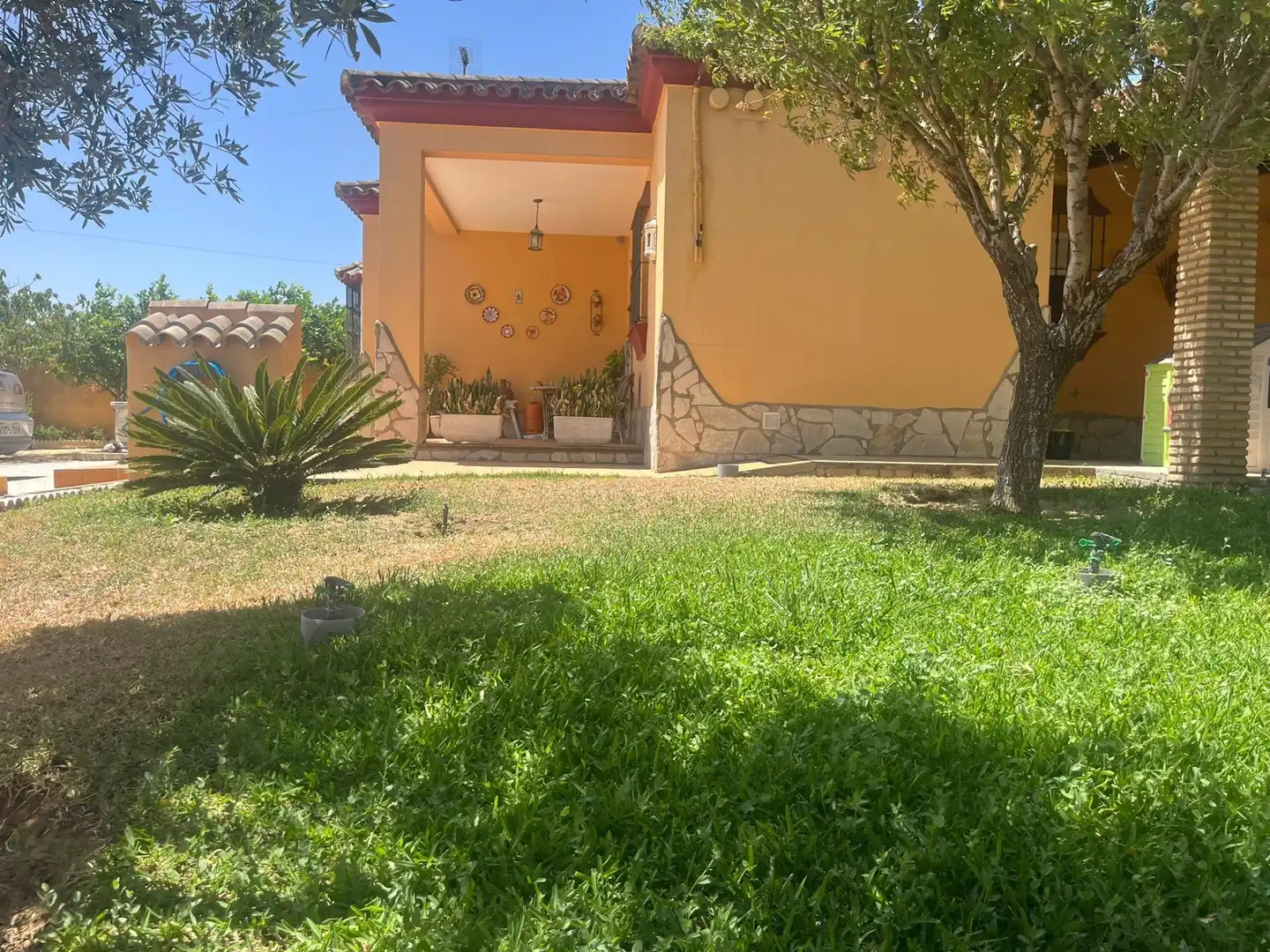 Houses for sale in Los Franceses – La Vega