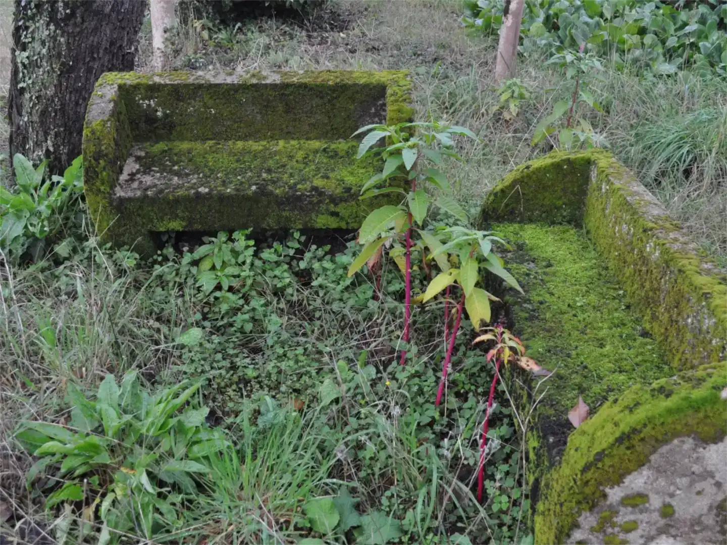 Garten von Grundstücke zum Verkauf in Vilagarcía de Arousa