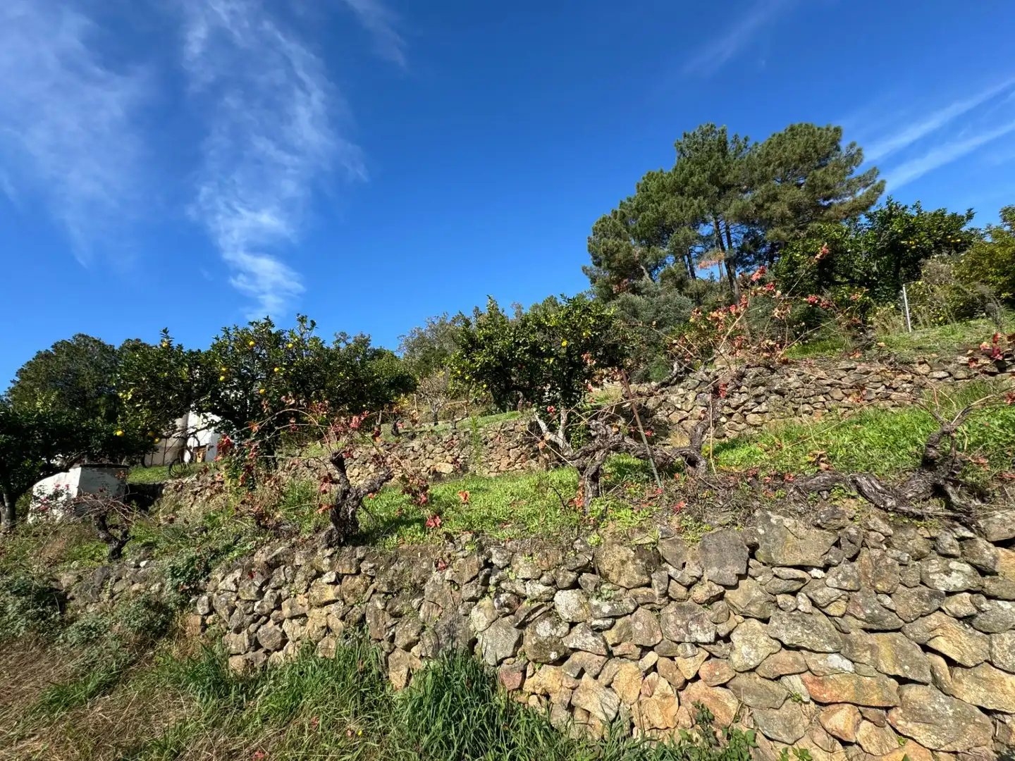 Finca rústica en venta en Candeleda con Jardín privado