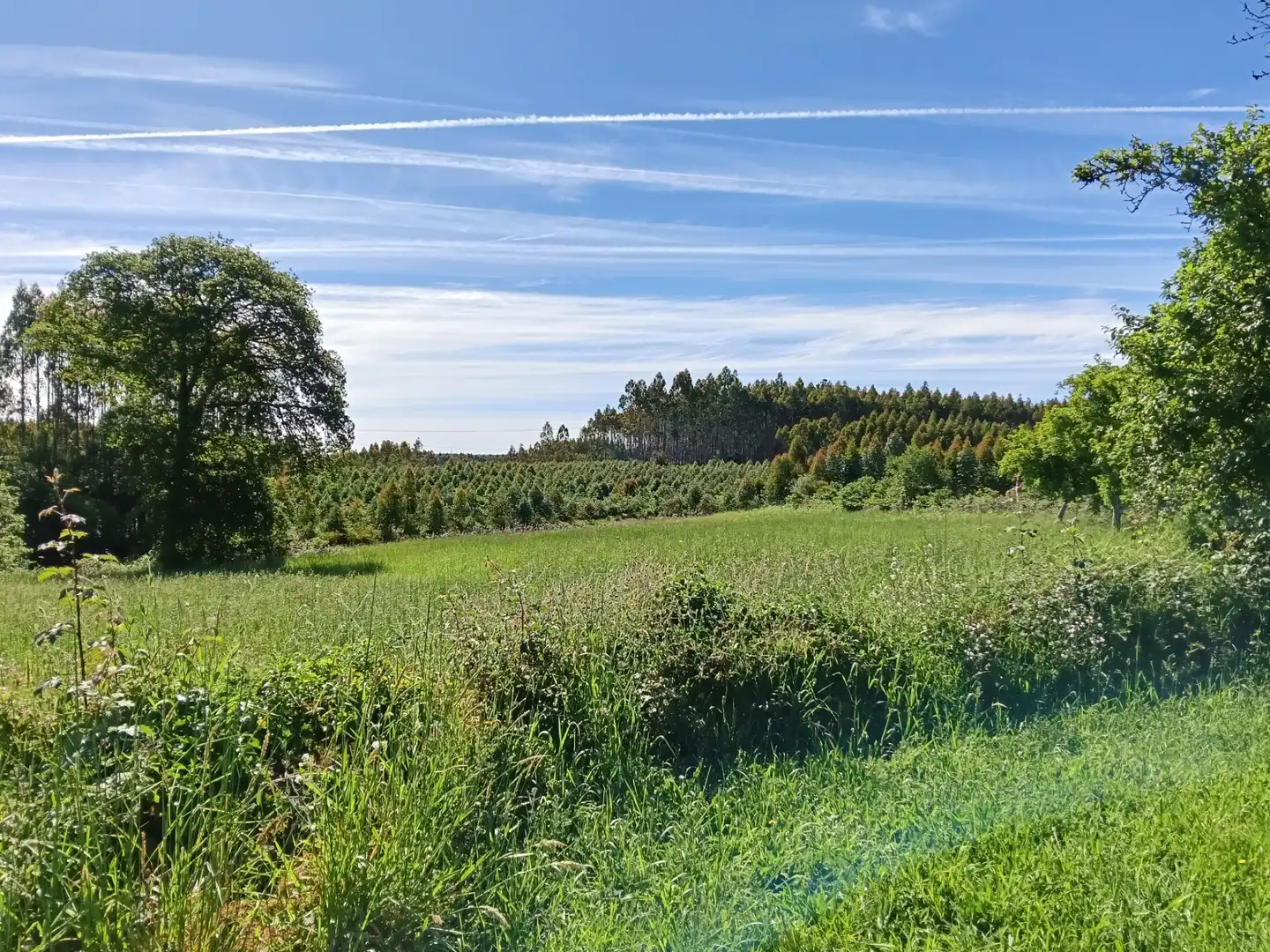 Haus oder Chalet zum Verkauf in Curtis mit Privatgarten