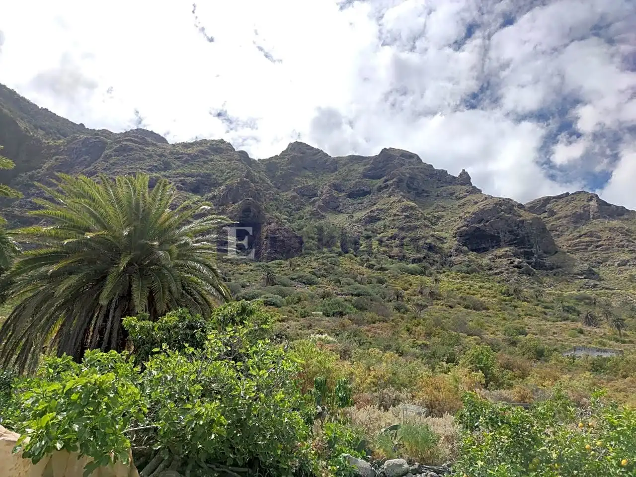 Country homes for sale in Buenavista del Norte
