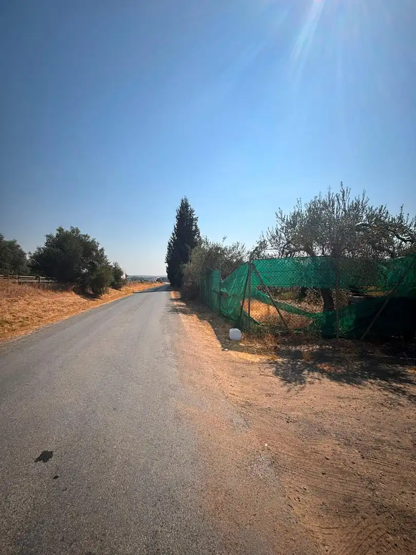 Finca rústica en venda en Huévar del Aljarafe amb Jardí privat, Traster i Piscina