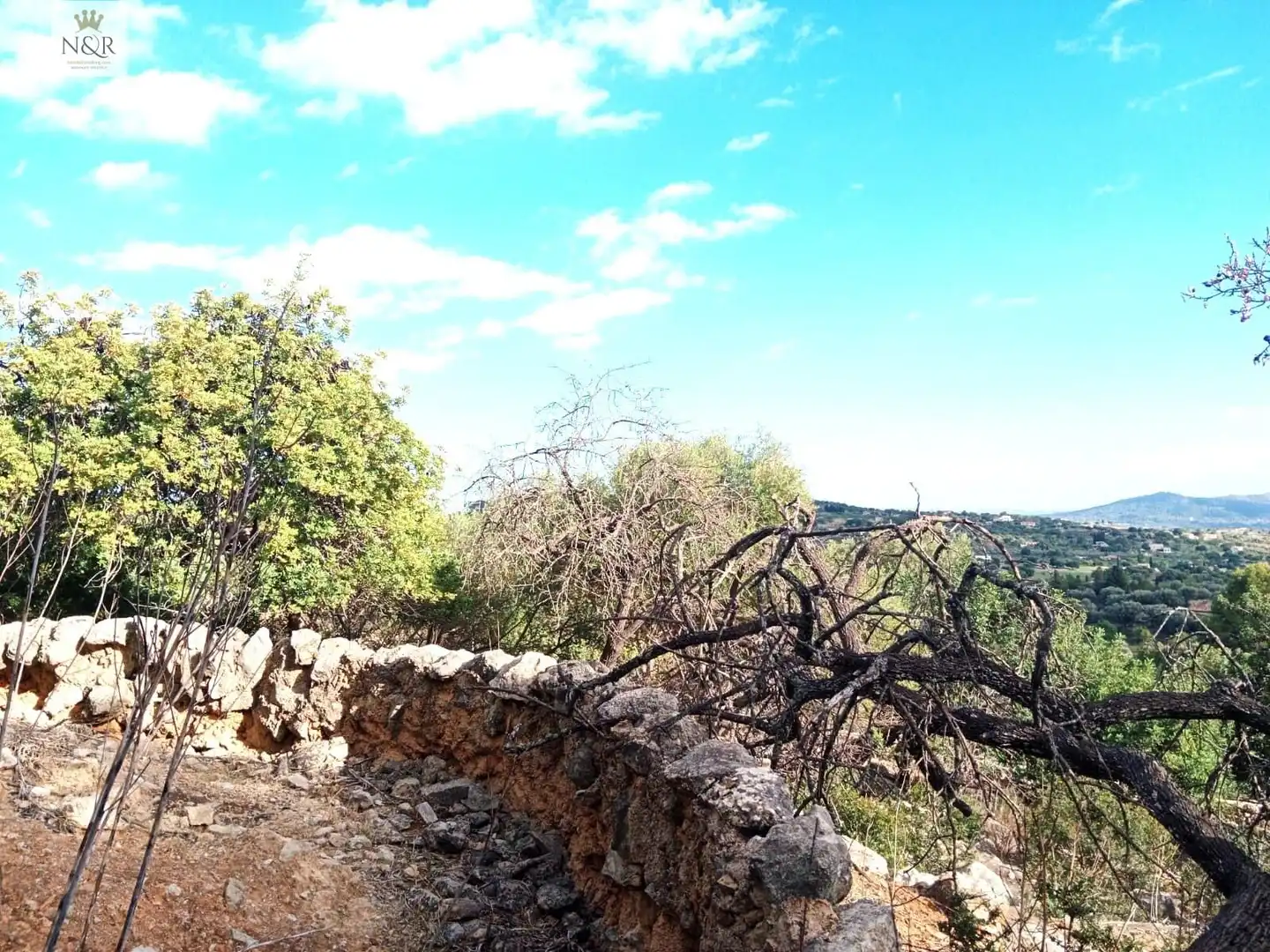 Finca rústica en venta en Selva