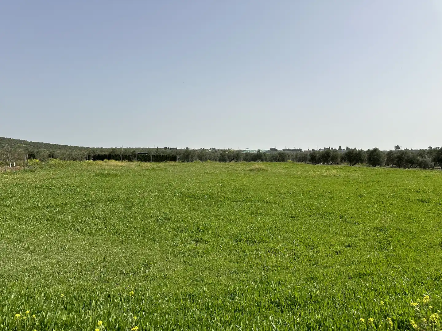 Terrenos y solares en venta en Úbeda, imagen 6