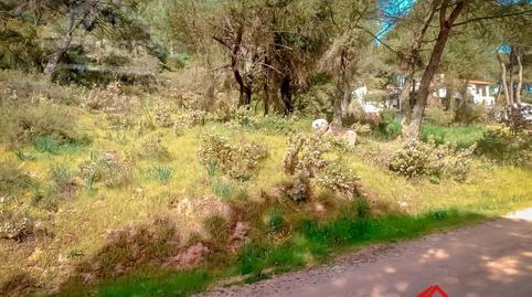 Photo 4 of Land for sale in Las Jaras,  Córdoba Capital