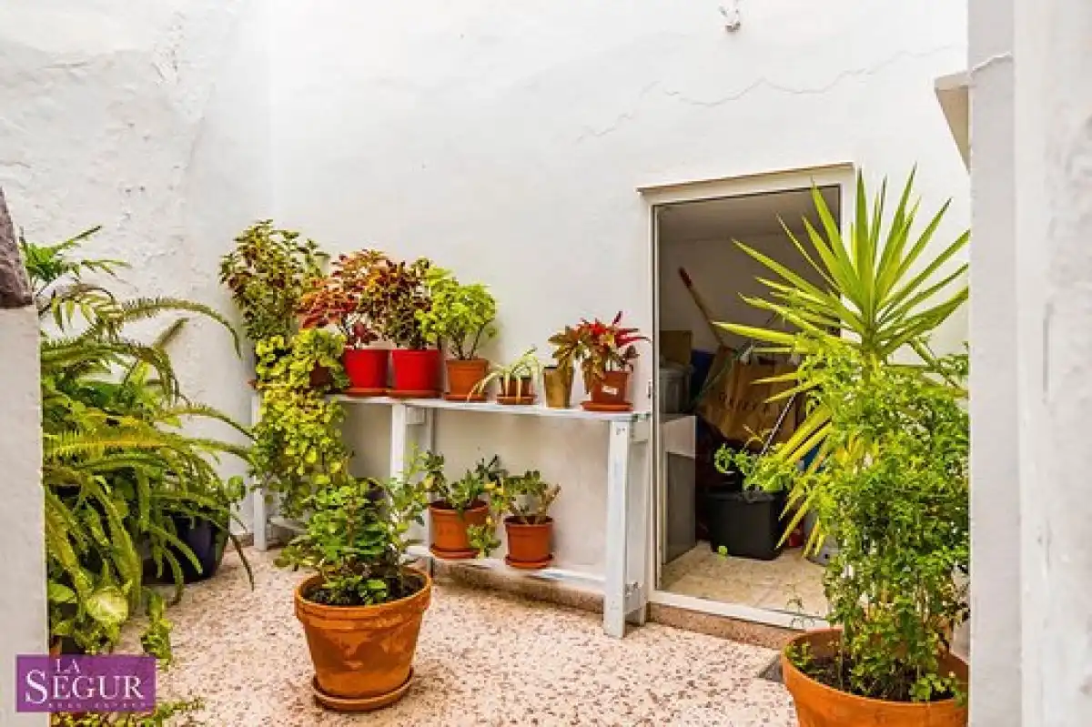 House with terrace for sale in Vejer, imagen 2