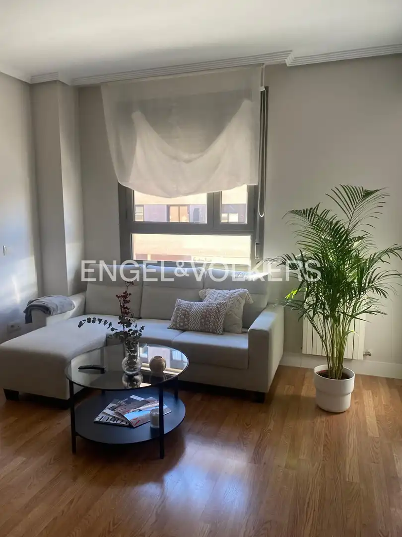 Living room of Flat for rent in Madrid  with Heating, Parquet flooring and Swimming Pool