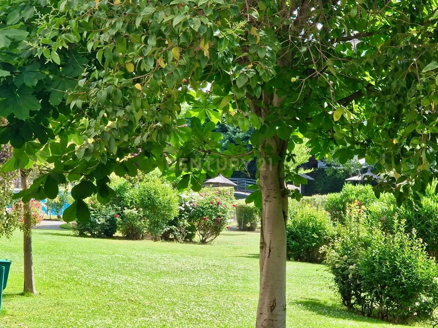 Jardín de Apartamento de alquiler en Majadahonda con Piscina