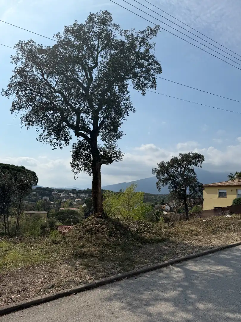 Exterior view of Residential for sale in Riells i Viabrea