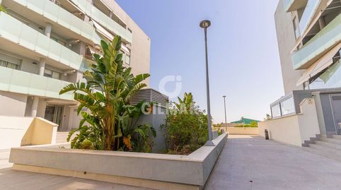 Foto 2 de Pis en venda a Caballero Bonald - San José Obrero - Guadalcacín, Jerez de la Frontera