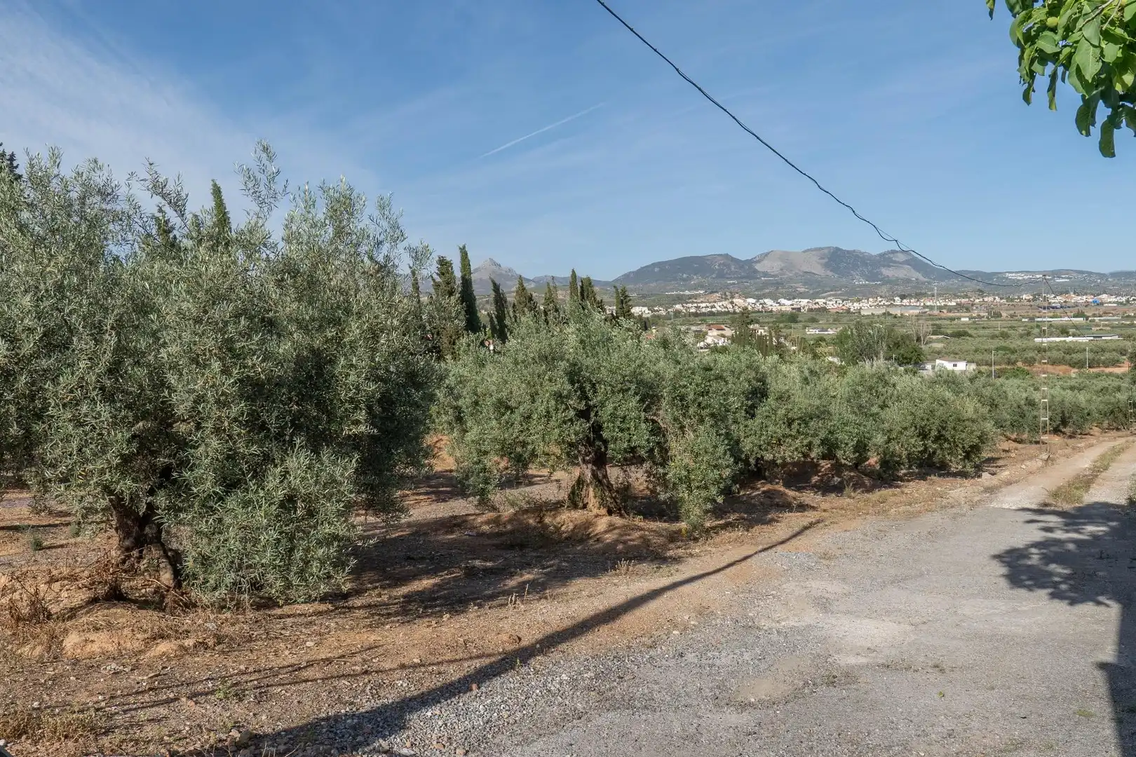 Terreni e lotti in vendita a Albolote, imagen 12