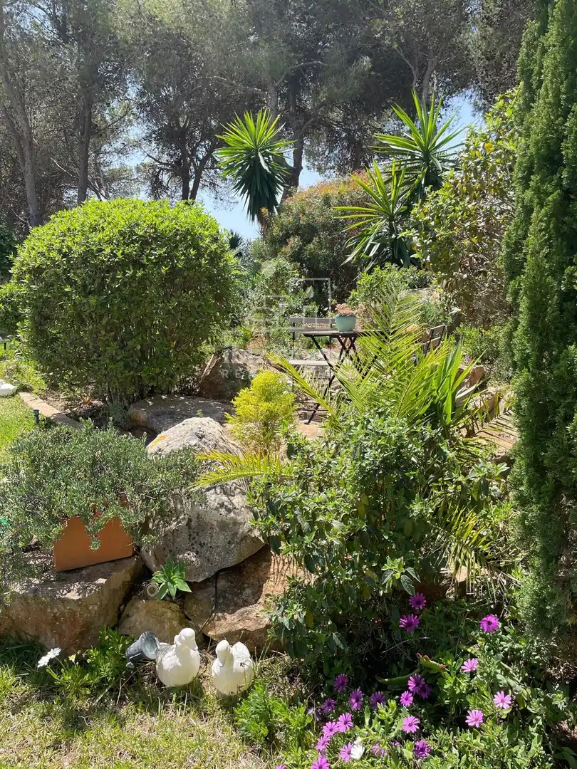 Jardín de Casa o chalet en venta en Santa Eulària des Riu con Aire acondicionado, Jardín privado y Terraza