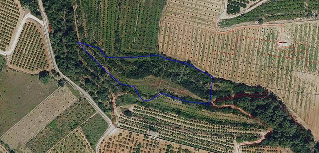 Terreno en Venta en CV-590, 57 en Estubeny