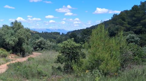 Espectacular finca de secano en las afueras de Rasquera, immagine 2