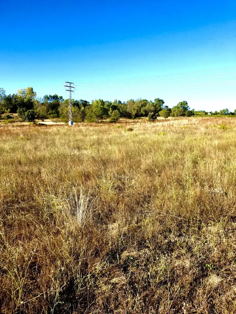 Terreno en venta en Madrid