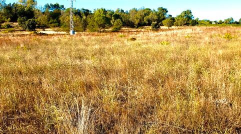 Photo 5 of Land for sale in Pasaje San Martin de Valdeiglesias, Prosperidad, Madrid