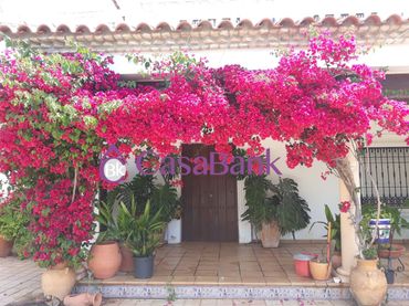Casa amb jardí en venda a Periurbano Este - Campiña