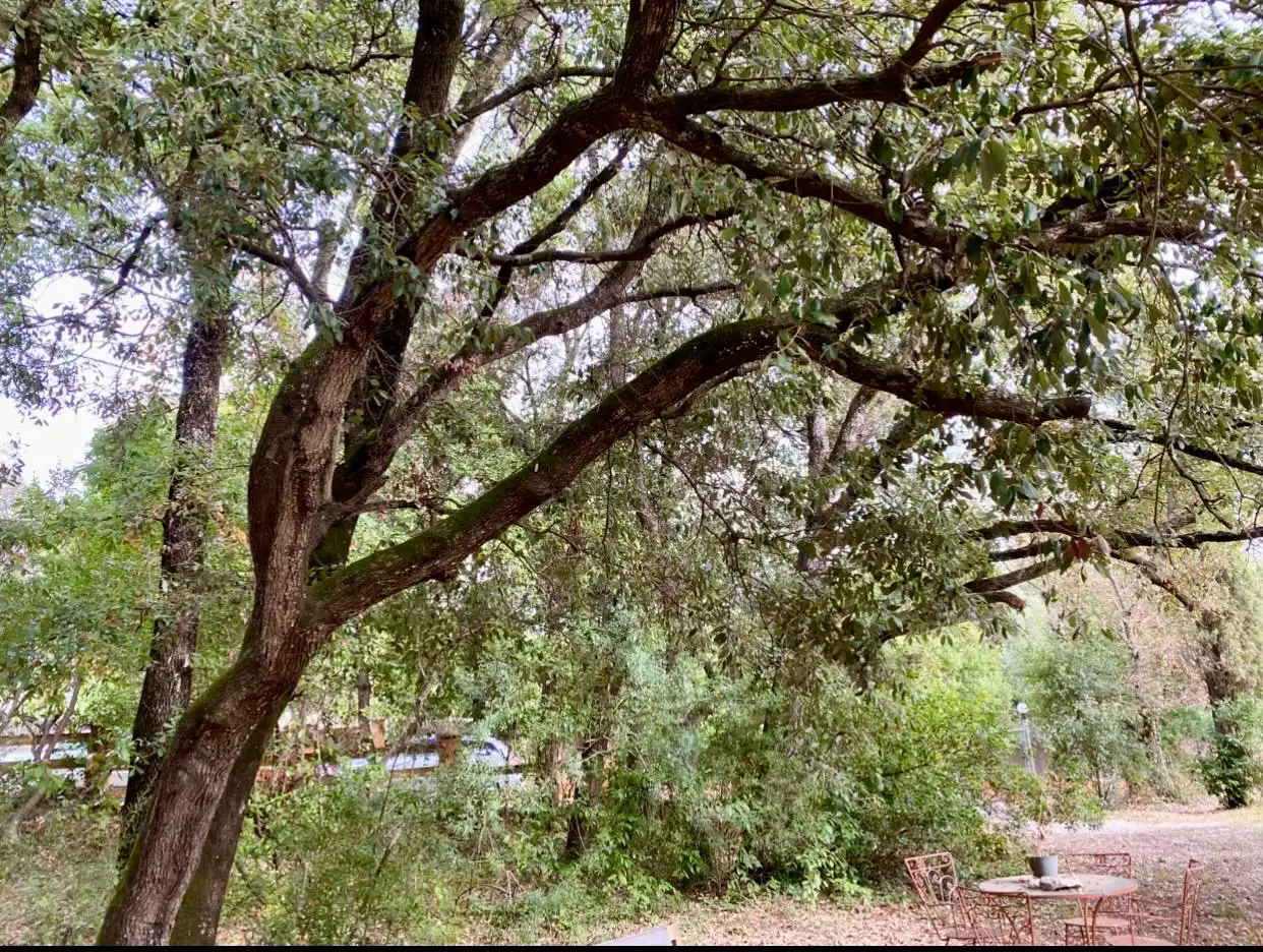 Casa en venda a Bescanó, imagen 41