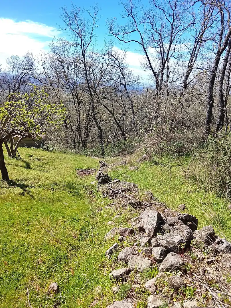 Terreni e lotti in vendita a Candeleda, imagen 56