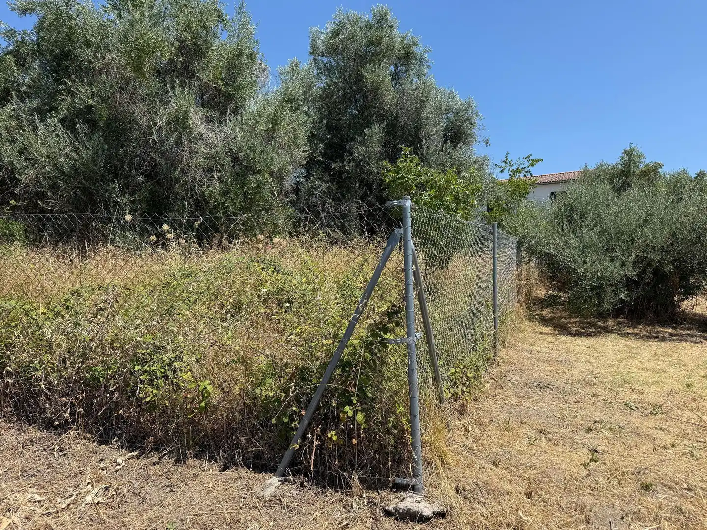 Terreni e lotti in vendita a Candeleda, imagen 4