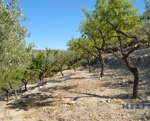 Residencial en venda en Castell de Castells