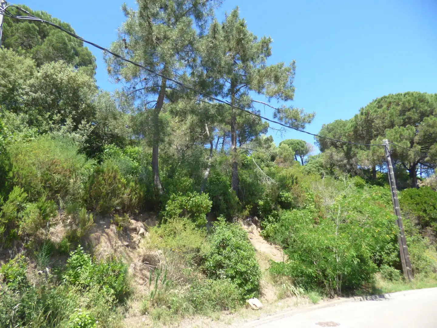 Residential land for sale in Palafolls, imagen 9