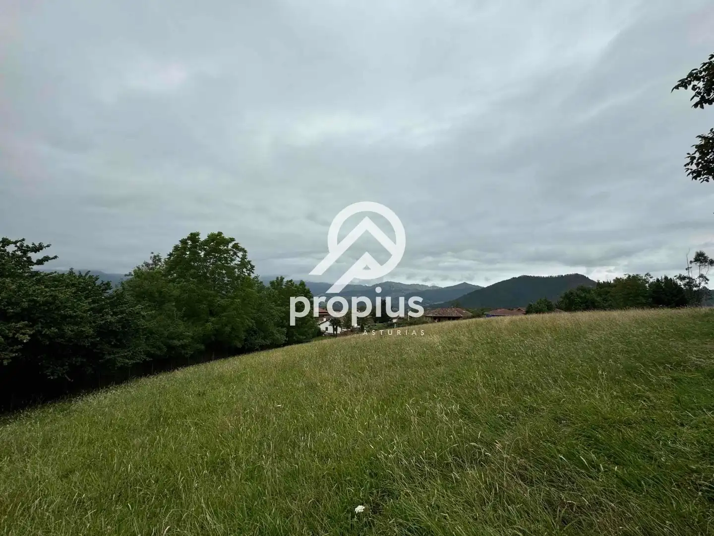 Rural land for sale in Arenas, imagen 11