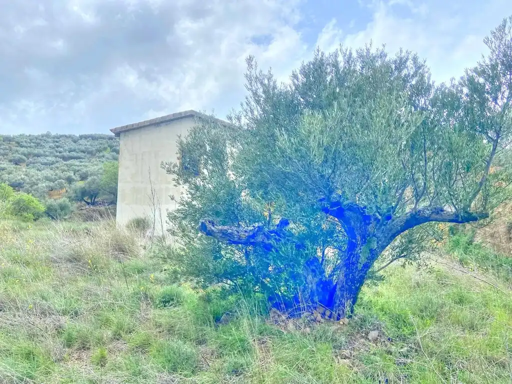 Casa rústica con jardín en venta en Colmenar, imagen 28