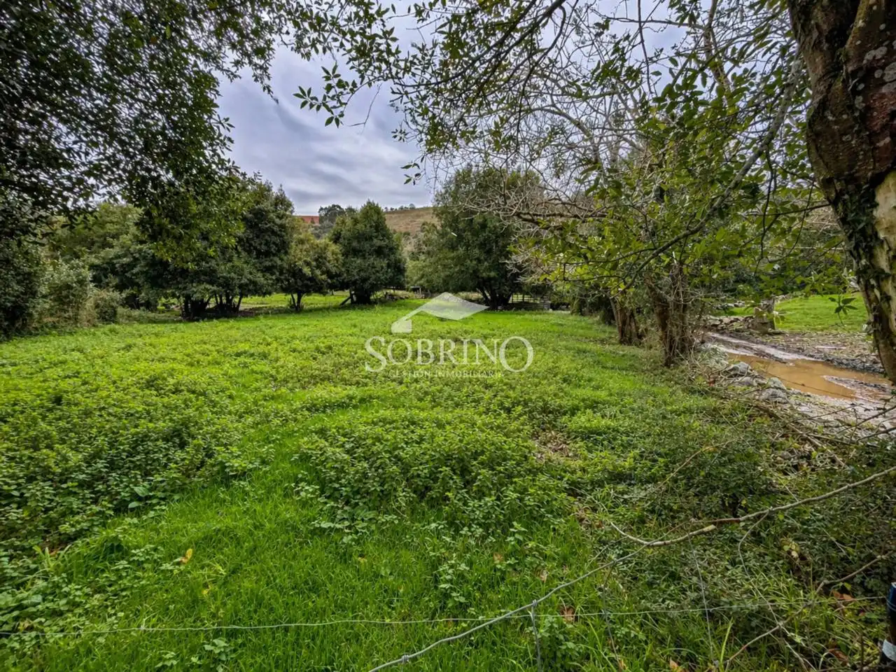 Residencial en venta en Llanes