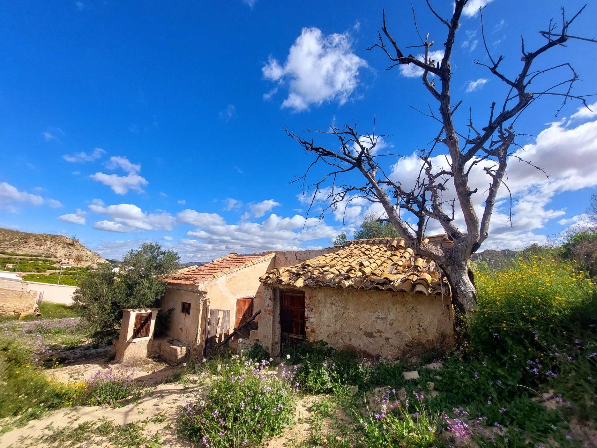 Vista exterior de Finca rústica en venda en Abarán