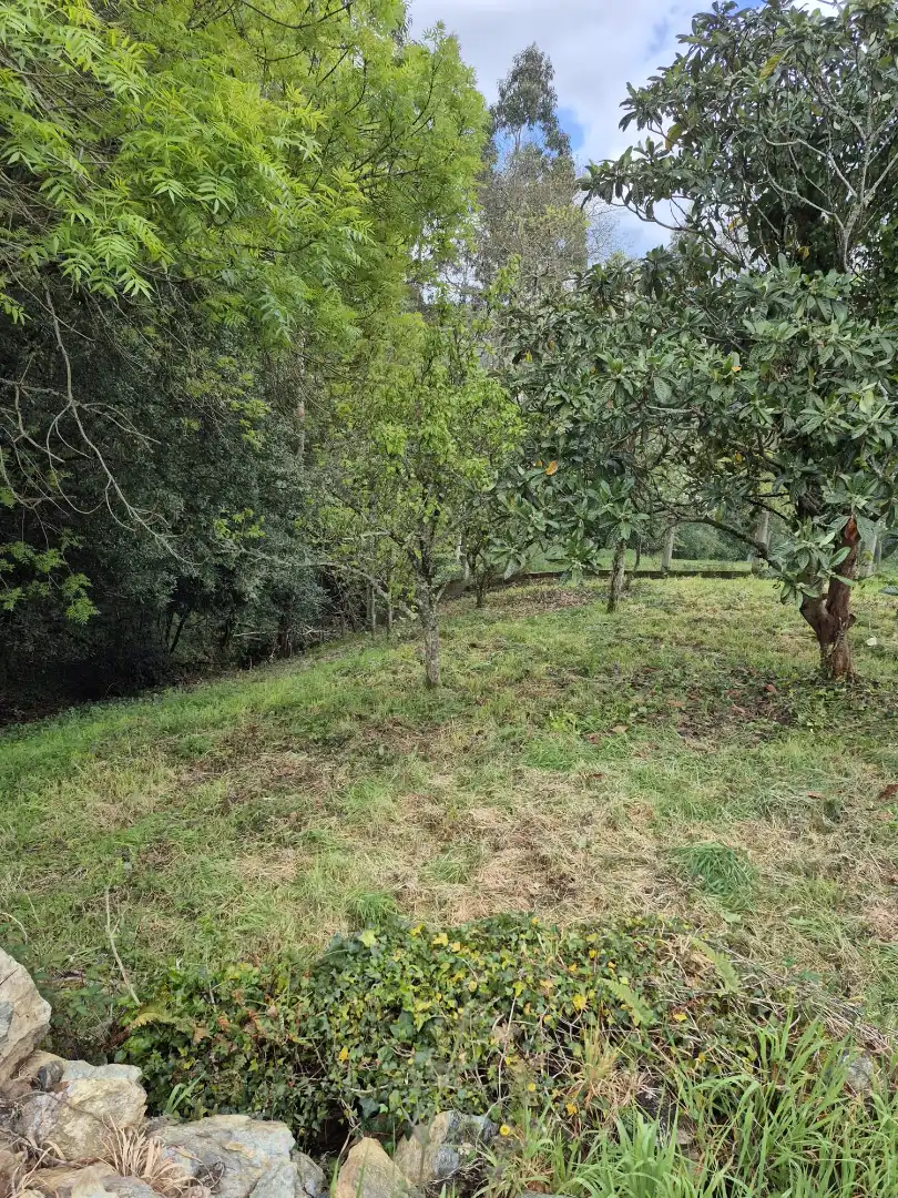 Finca rústica en venta en As Somozas  con Jardín privado