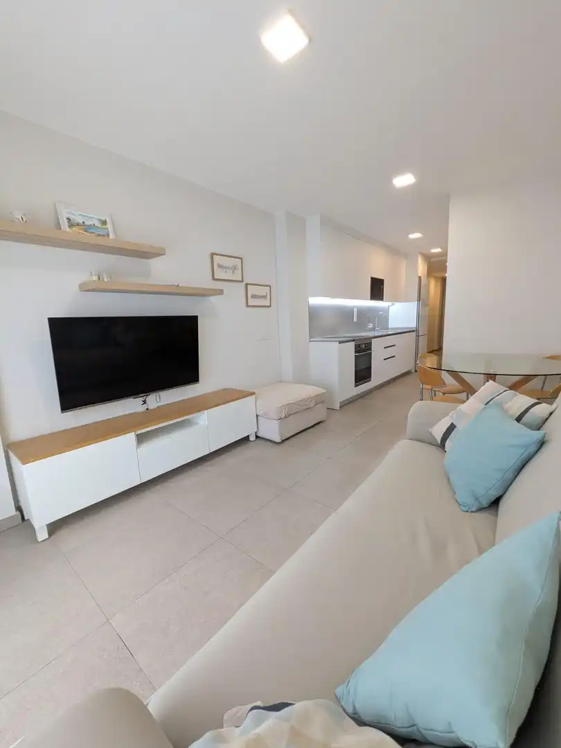 Sala d'estar de Pis de lloguer en Las Palmas de Gran Canaria amb Moblat