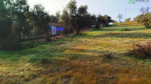 Foto 2 de Finca rústica en venta en Sur, Badajoz