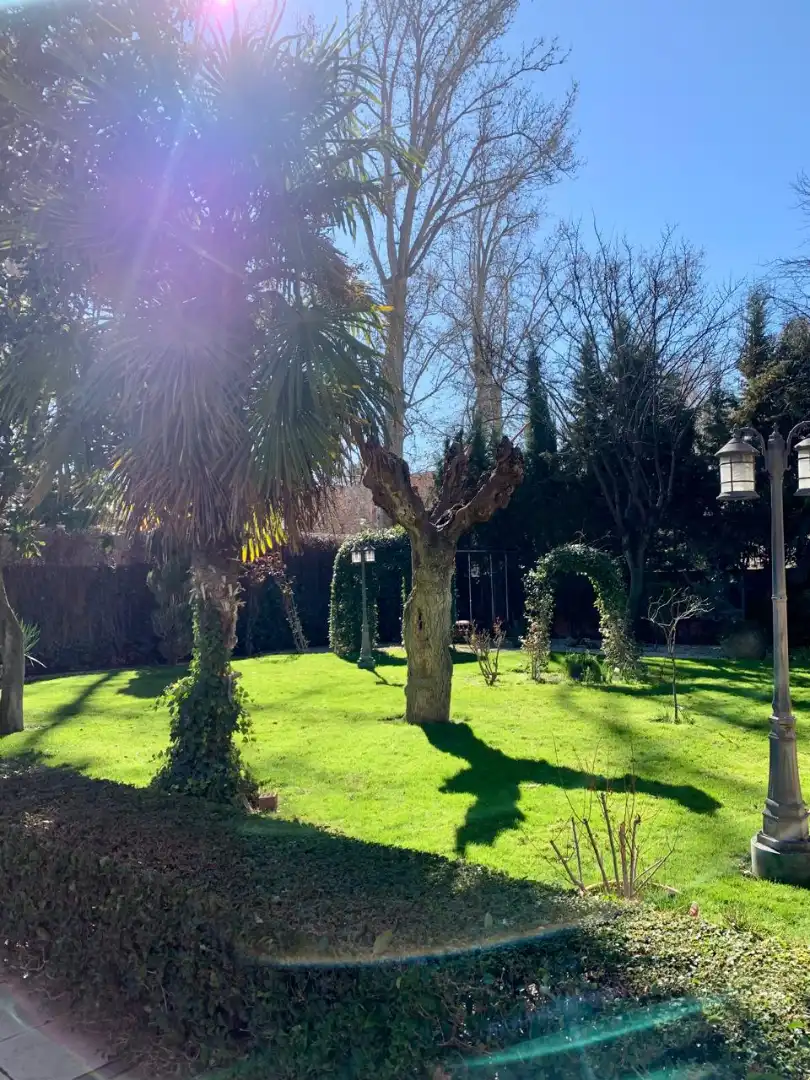 Jardín de Casa o chalet en venta en Aranjuez con Aire acondicionado, Calefacción y Jardín privado