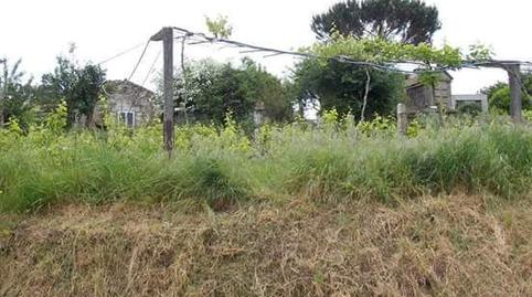 Foto 5 de Finca rústica en venda a Lugar Fonte de Curro, Barro, Pontevedra