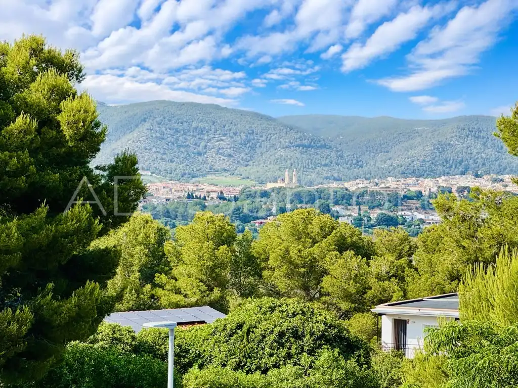 Vista exterior de Casa o xalet en venda en Sant Pere de Ribes