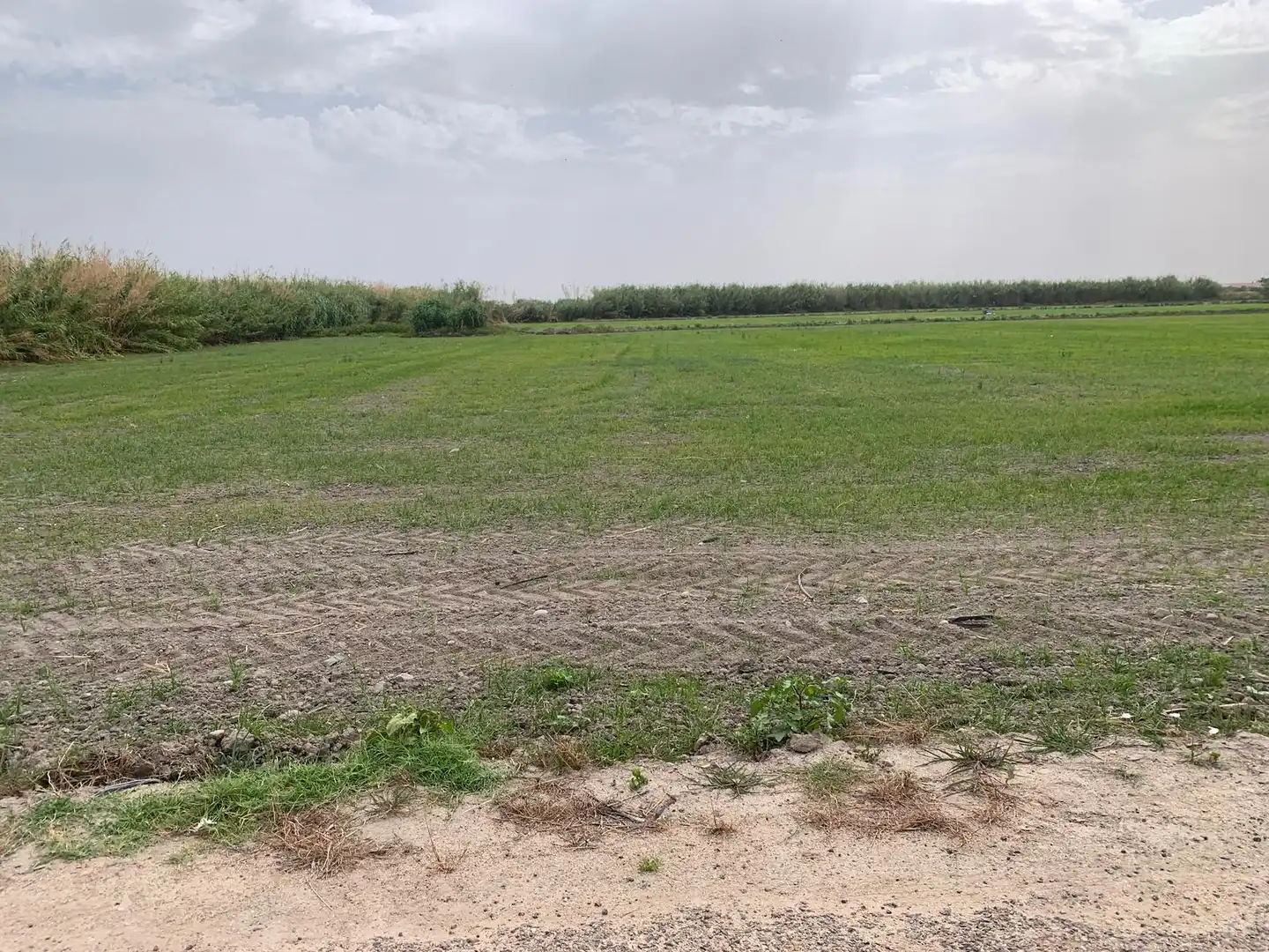 Terrain rustique à vendre à Don Benito, imagen 2