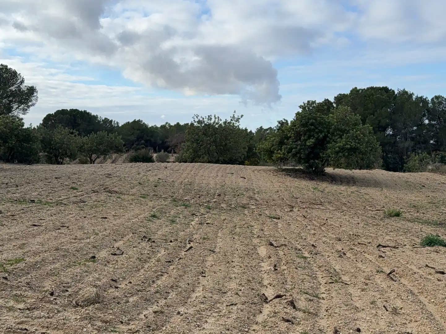 Terrain rustique à vendre à Cami Futbol 14A, imagen 3