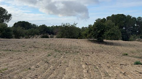 Finca en Vallmoll, imatge 3