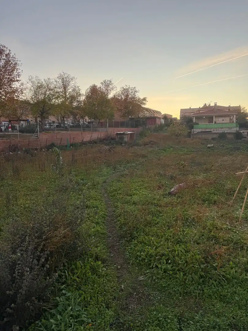Terreni e lotti in vendita a Yeles, imagen 2