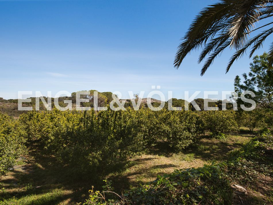 Finca rústica en venda en Cullera amb Calefacció, Terrassa i Moblat