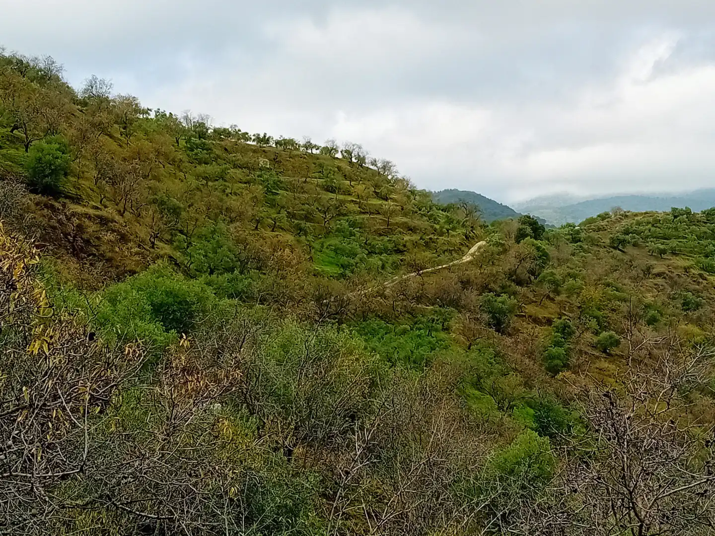 Terreni e lotti in vendita a Yunquera, imagen 16