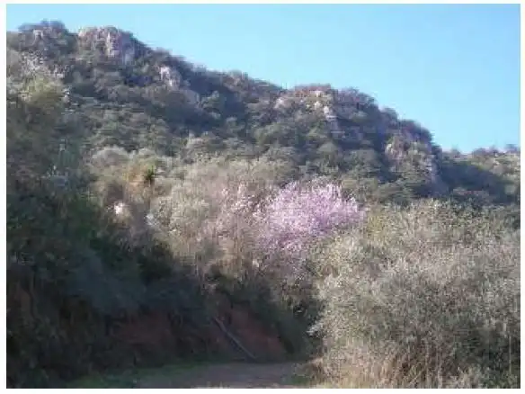 Terreny residencial en venda a Periana