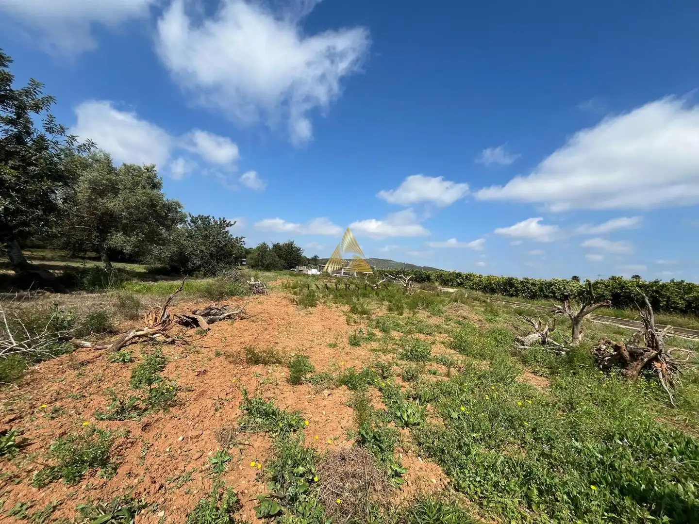 Country homes for sale in Pueblo