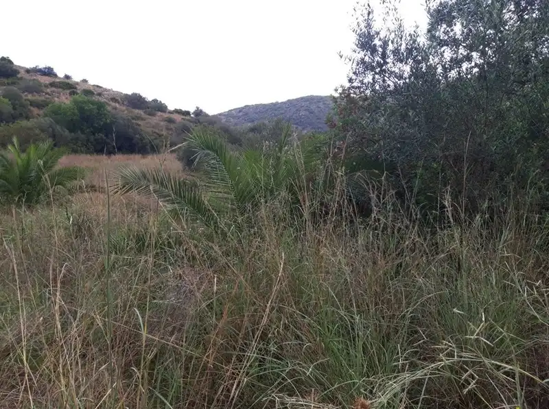 Terreno residencial en venta en Polígono 1 Parcela 130 RACONS DE PEGO, imagen 5