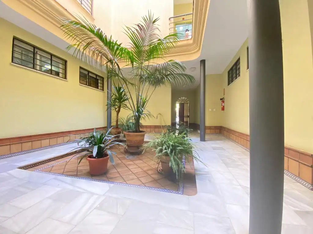 Flat for rent in Jerez de la Frontera