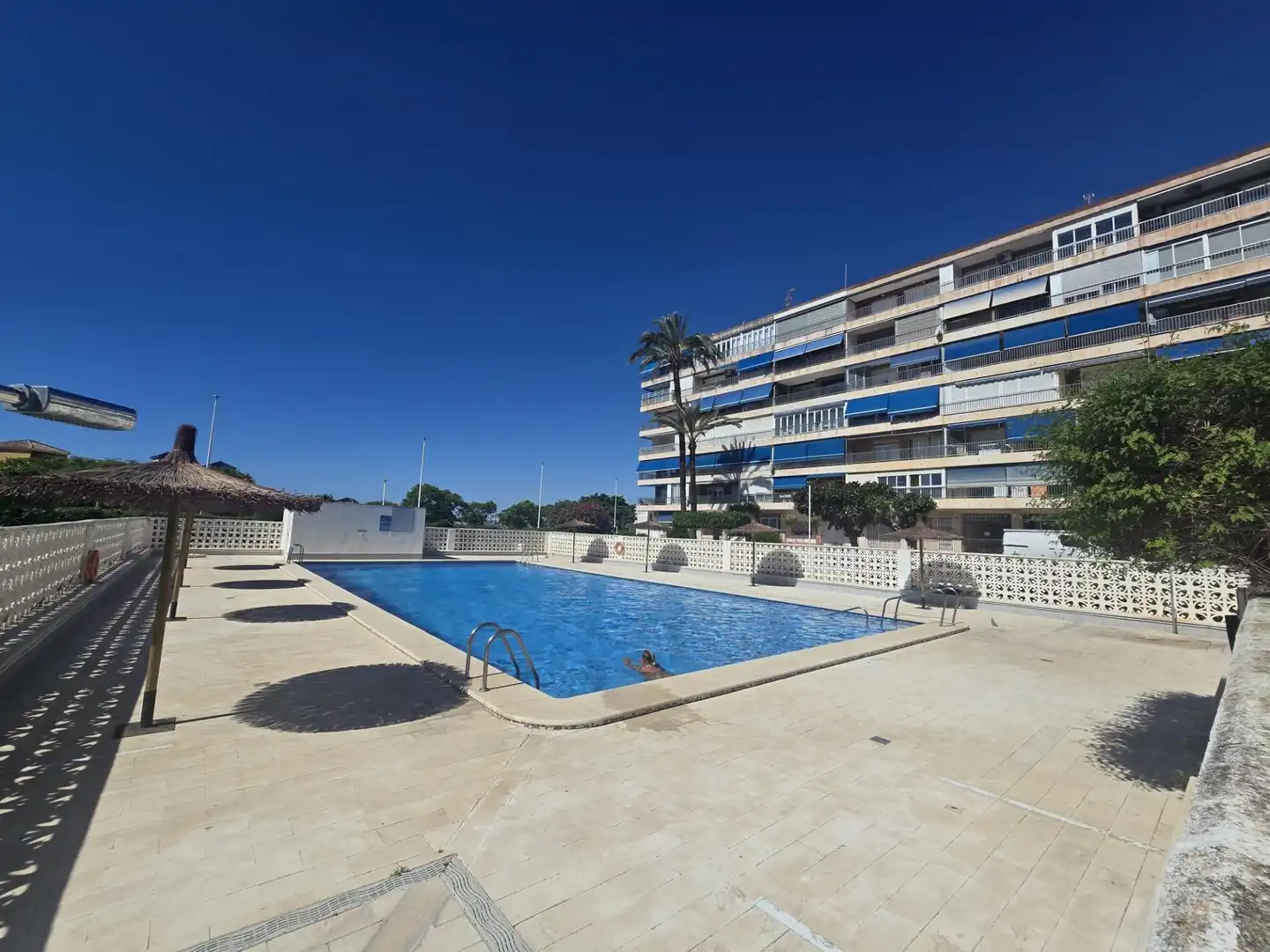 Piscina de Apartamento en venta en Torrevieja con Jardín privado, Terraza y Amueblado