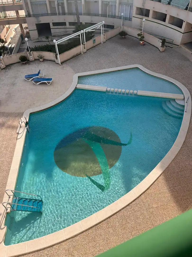 Studio avec piscine à louer à Santa Pola ciudad, imagen 5
