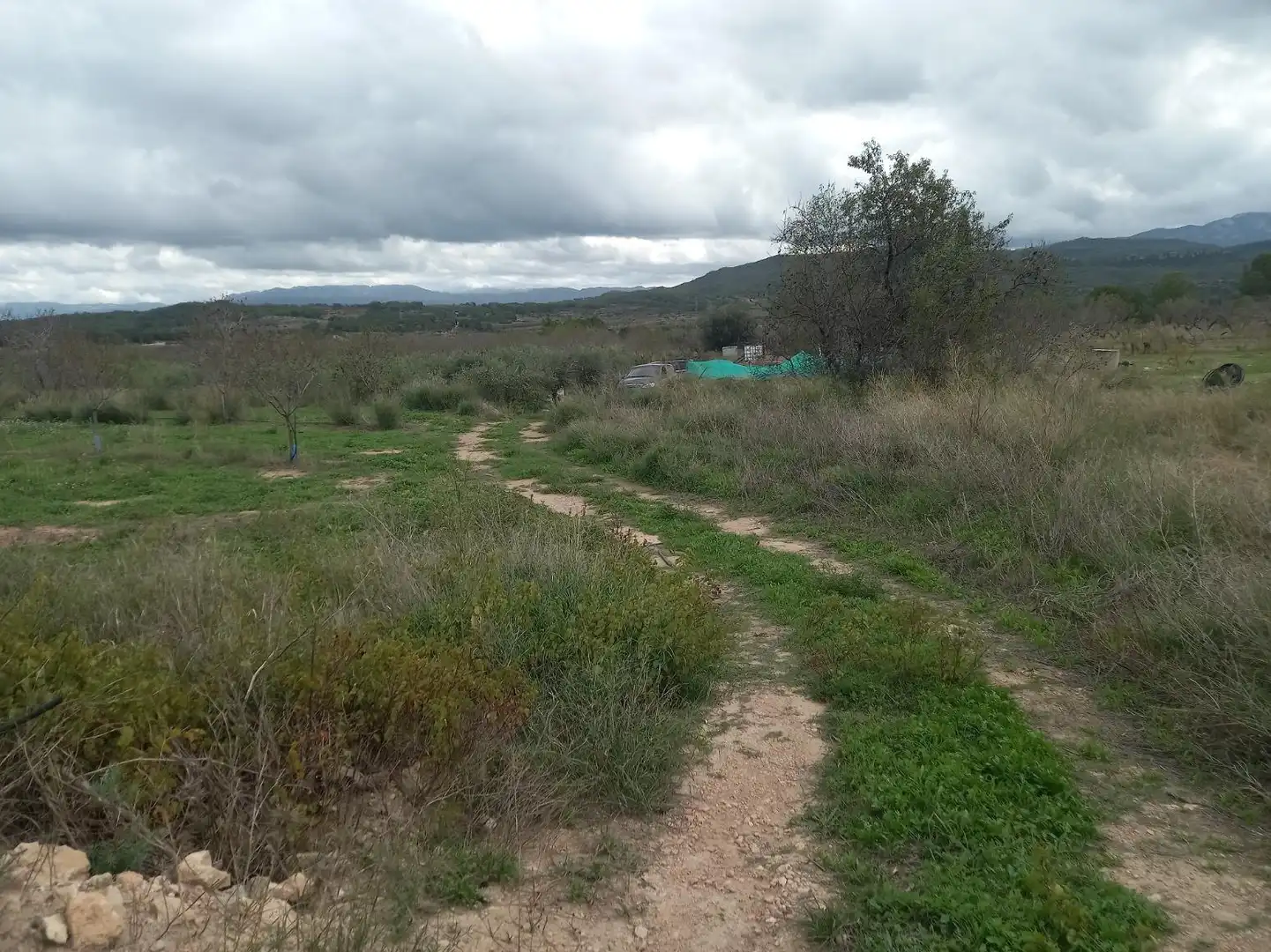 Rural land for sale in El Pinell de Brai, imagen 14