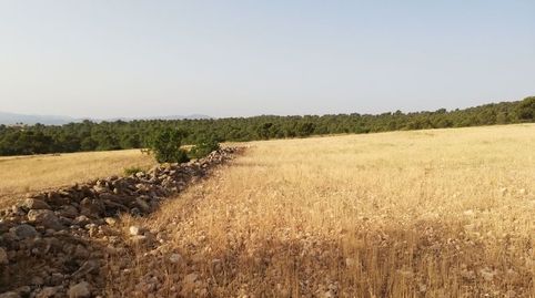 Foto 5 de Terreno en venta en Aguica M Lorca, 80, Fontanares, Lorca